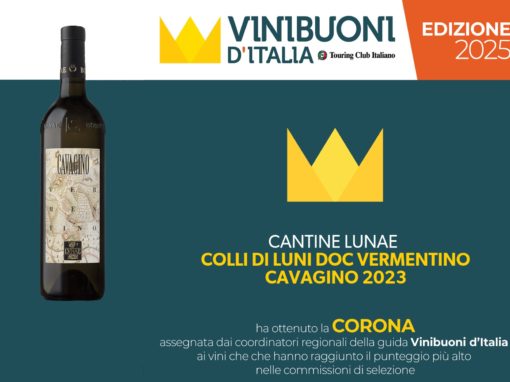 VINI BUONI D’ITALIA 2025