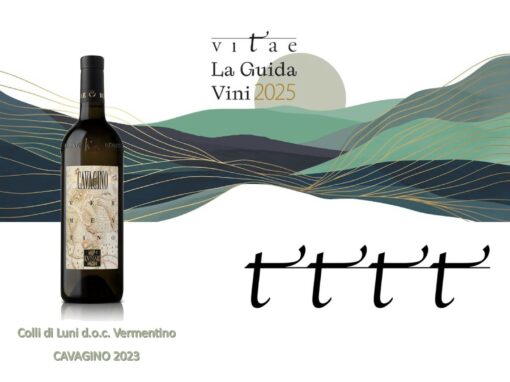 VITAE – La Guida Vini 2025 AIS